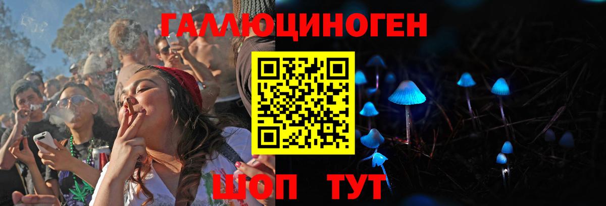 купить наркотики цена  Вход с VPN  Шатура  Галлюциногенные грибы MAGIC MUSHROOMS 